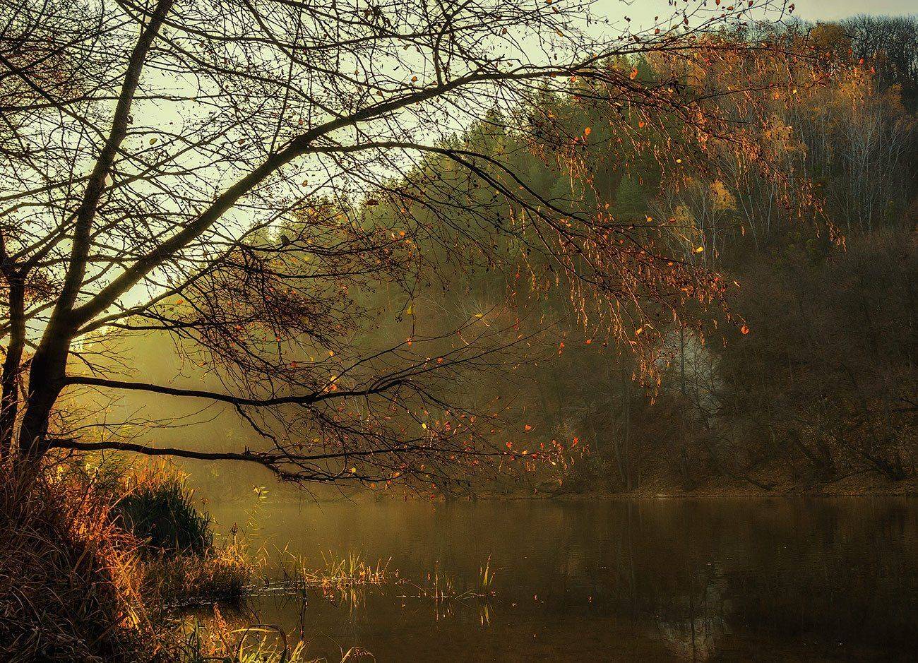 , Игорь Мелекесцев