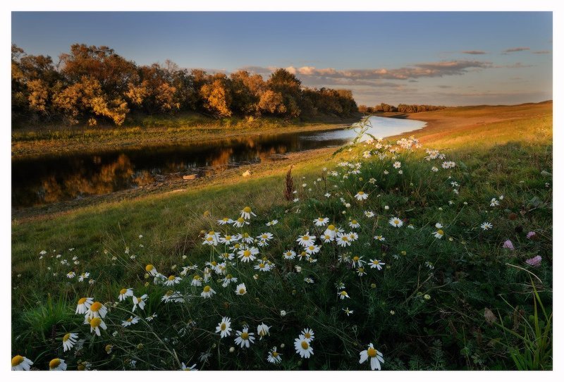 последние дни летаphoto preview