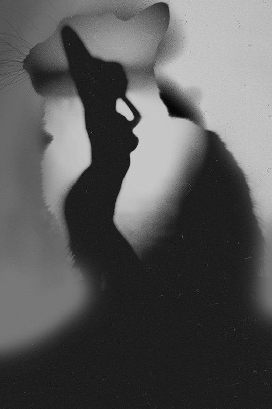 Женщина, по своей натуре - кошкаphoto preview