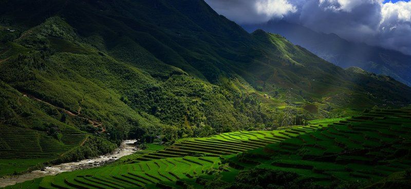 В поисках света в сезон дождей.photo preview