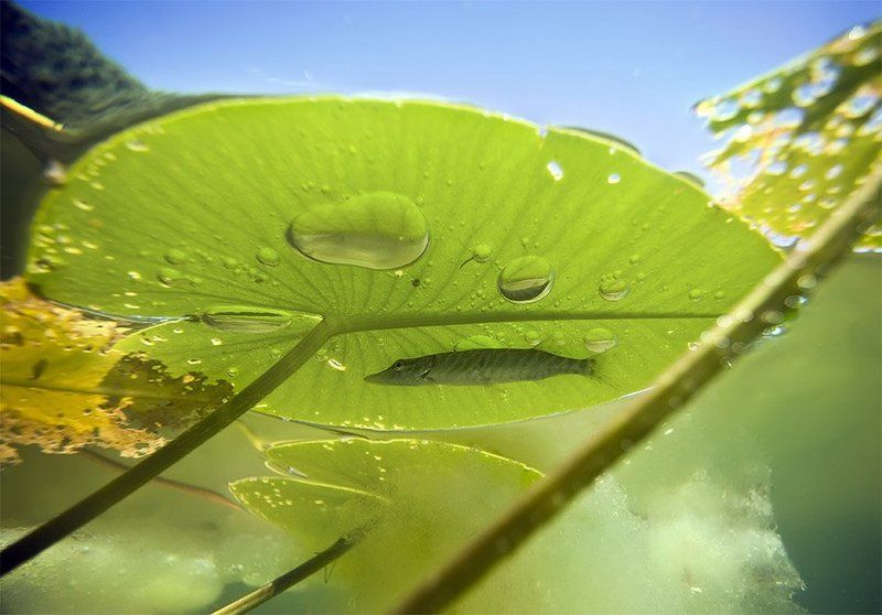 Малышокphoto preview