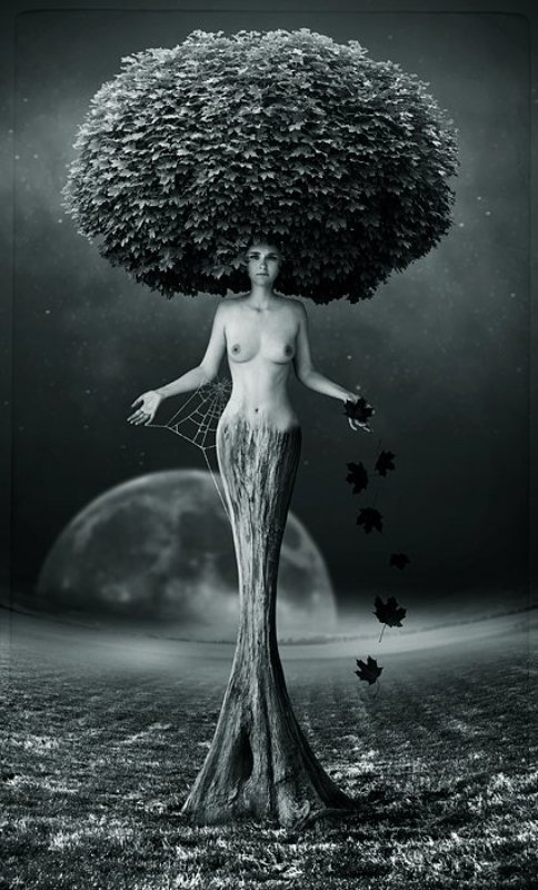 mrs autumnphoto preview