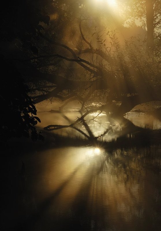 Утро начинается здесьphoto preview