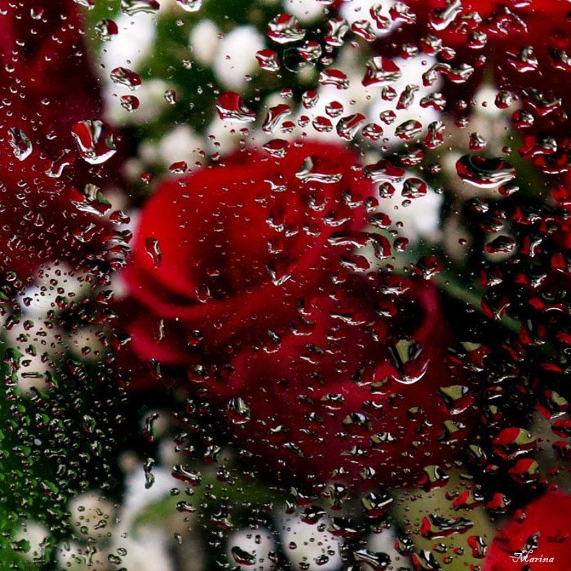 Капелькиphoto preview