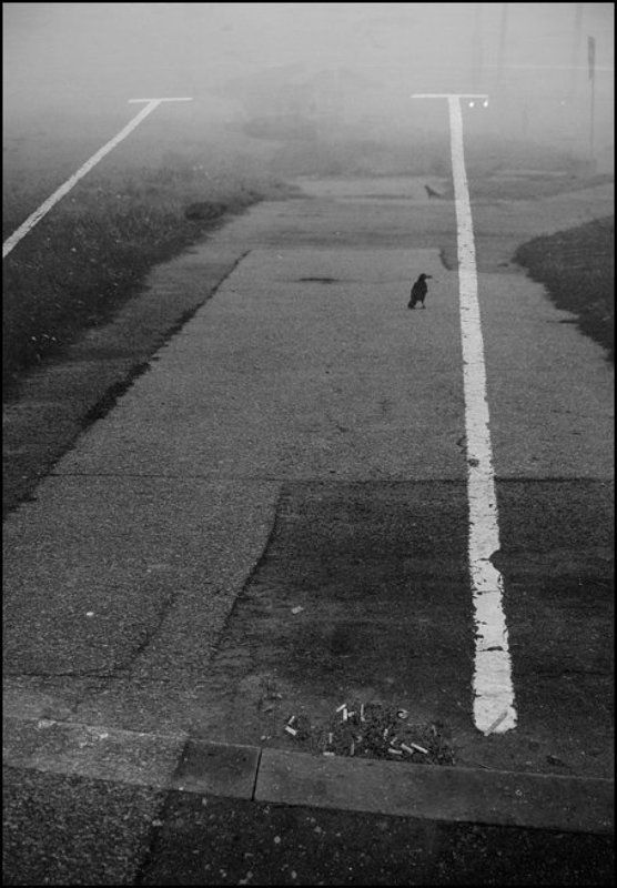 пожелай мне удачиphoto preview