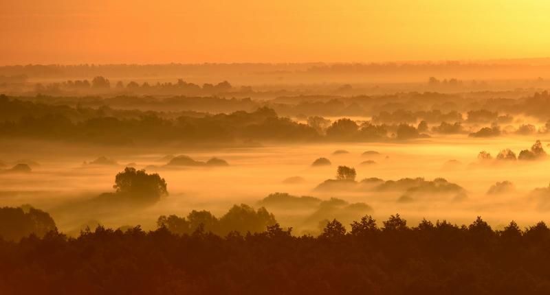 утро цвета осени...photo preview