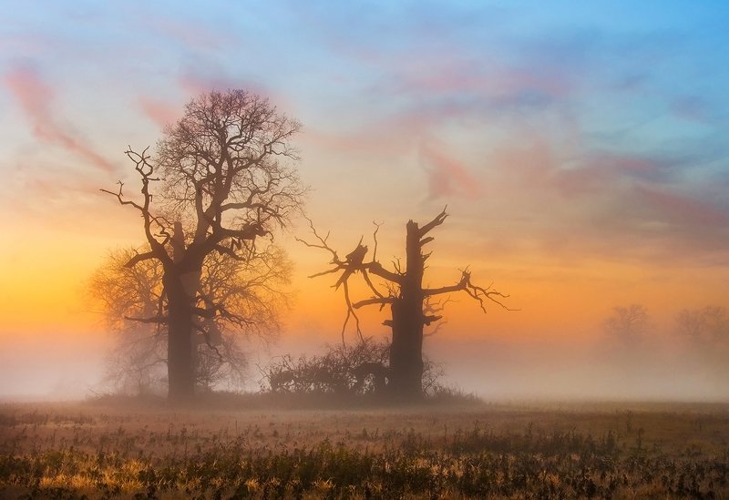 Barwy porankaphoto preview