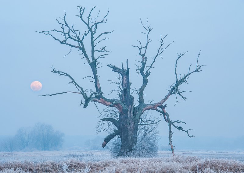 Razem przez wiekiphoto preview