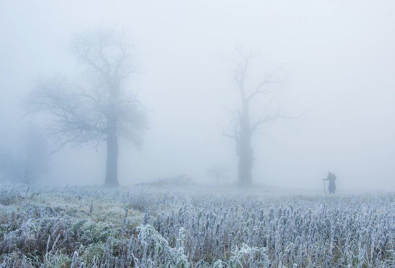 Świtem samotniphoto preview