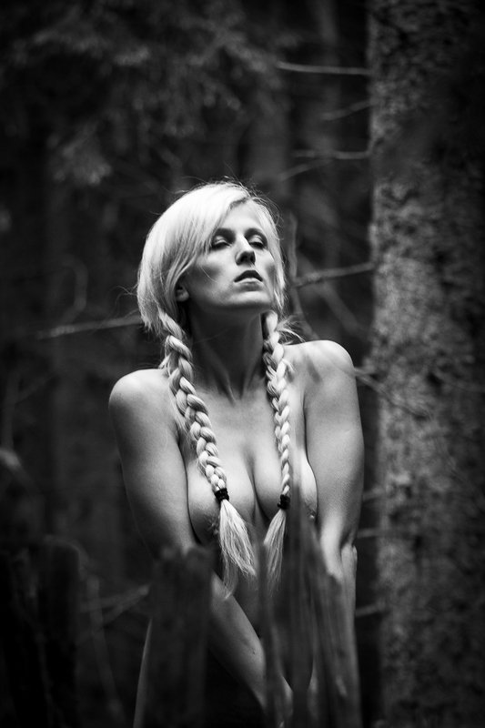 Alone in forestphoto preview