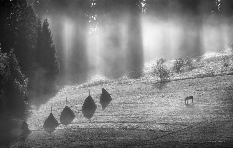 карпаты, осень, пейзаж, утро, рассвет, туман Утро в Карпатах...photo preview