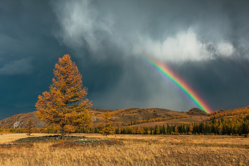 алтай, осень, золотая осень, горы, пейзаж, радуга Грозаphoto preview
