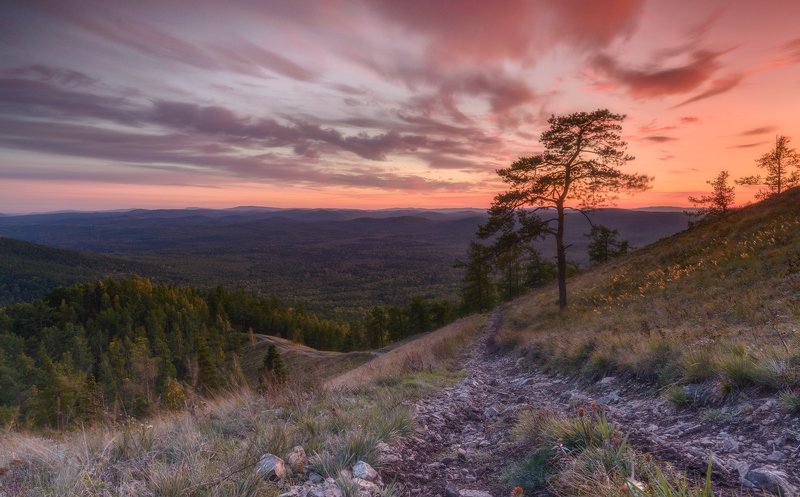 Портфолиюphoto preview