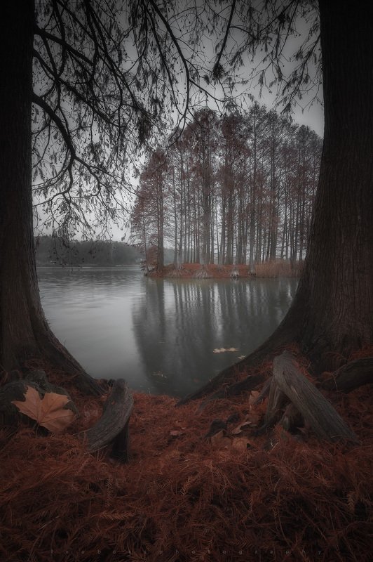 landscape Autumn 2019photo preview