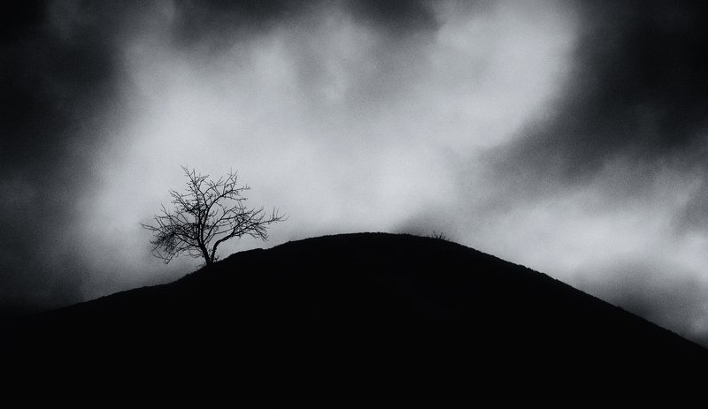 Возрождениеphoto preview