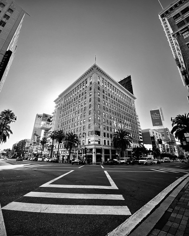 Hollywood and Vinephoto preview