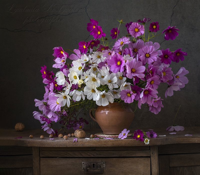 натюрморт с космеями,лето,букет,цветы,художественное фото,искусство. photo preview