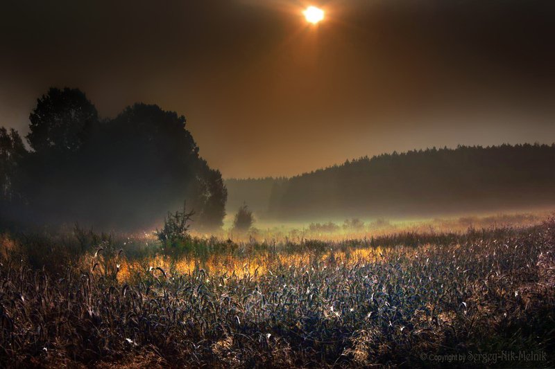 рассвет, церковь, храм, утро, туман photo preview