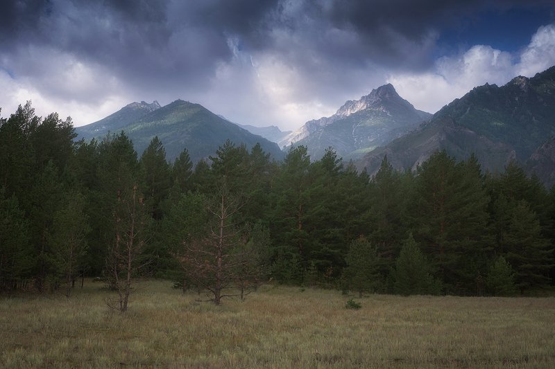 россия,бурятия,алла,долина,баргузинская долина,горы,деревья,тучи,пейзаж,фото,дмитрий подкопаев По дороге в долину.photo preview