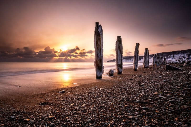 Пригородноеphoto preview