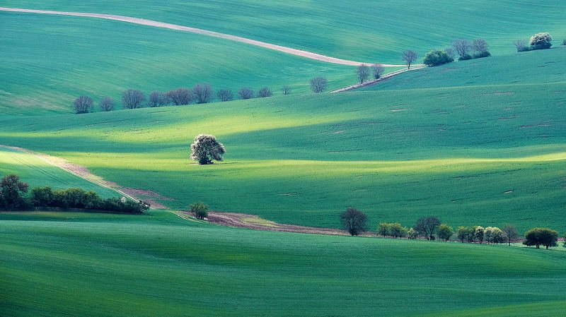 южная моравия, чехия, весна,  south moravia, czech, south moravian Весенний зигзагphoto preview