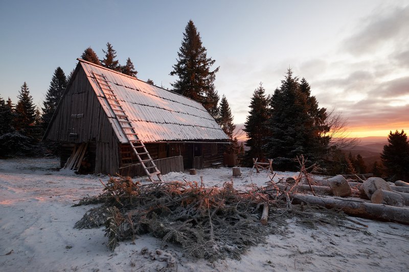 mist,mountains,hut,sunrise,tree,cold,frozen Hutphoto preview