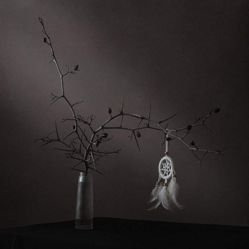 Натюрморт с ловцом снов фото превью