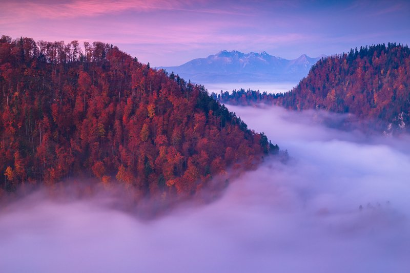 pieniny,tatry,polska,national,park,poland,rydzewski,35photo,award, 6d,canon,mgły,fog,autumn,fall,landscape,krajobraz, Pieniny National Parkphoto preview
