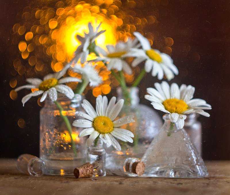 ромашки, натюрморт, боке, цветы, брызги, вода, закат, солнце, бутылки, банки, стекло, красивый, лето, still life Ромашковыйphoto preview