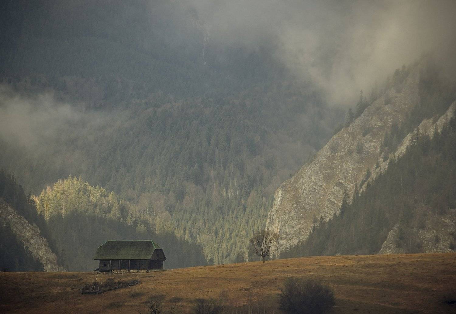 landscape beautiful autumn fog tree photography comsa bogdan , Comșa Bogdan