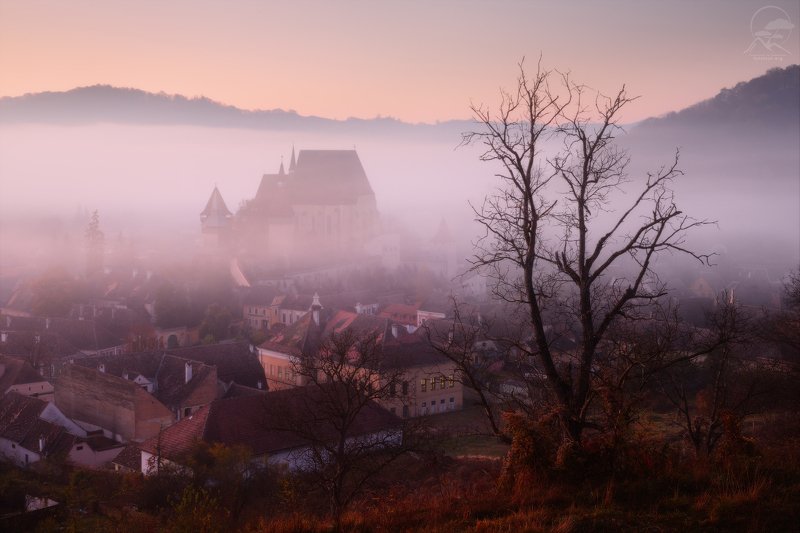 пейзаж, природа, горы, карпаты, румыния, трансильвания, осень, пастораль, фототур в румынию, туман, крепость За тонкой вуалью туманаphoto preview