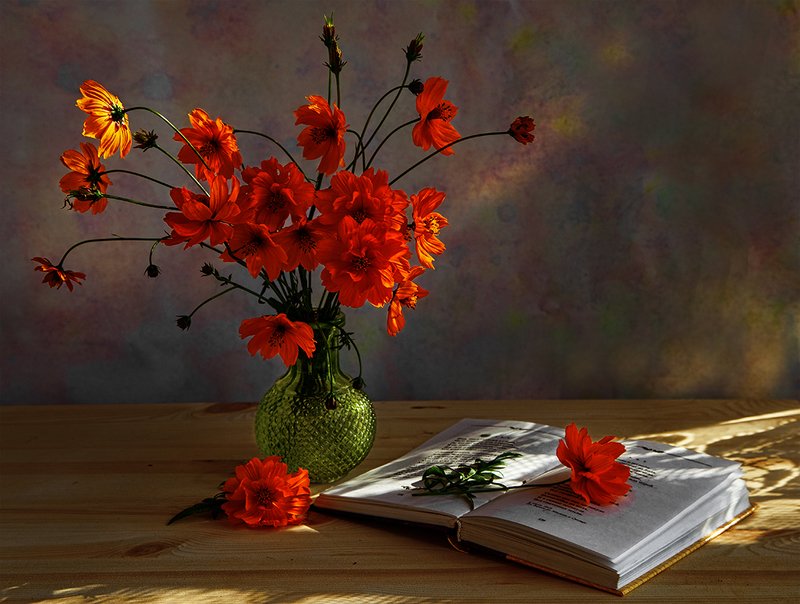 Космея книга Лирикаphoto preview