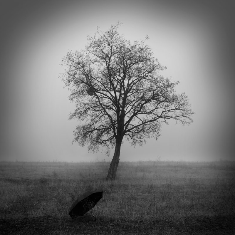 no namephoto preview