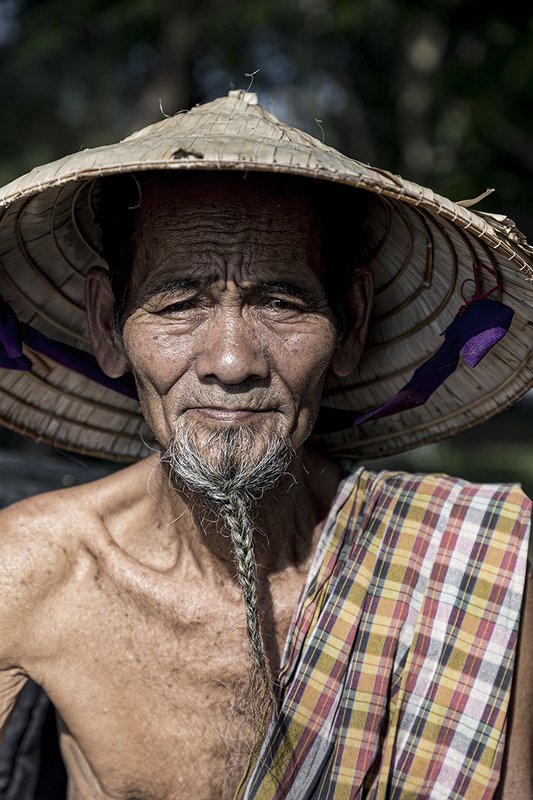 man, old man, aged, person, Old manphoto preview