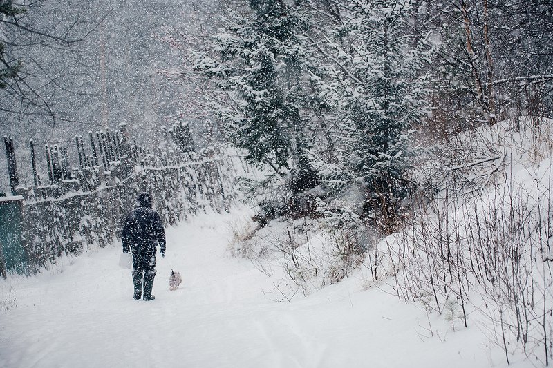 зима, снегопад, лес, природа, урал, златоуст Снежная прогулкаphoto preview