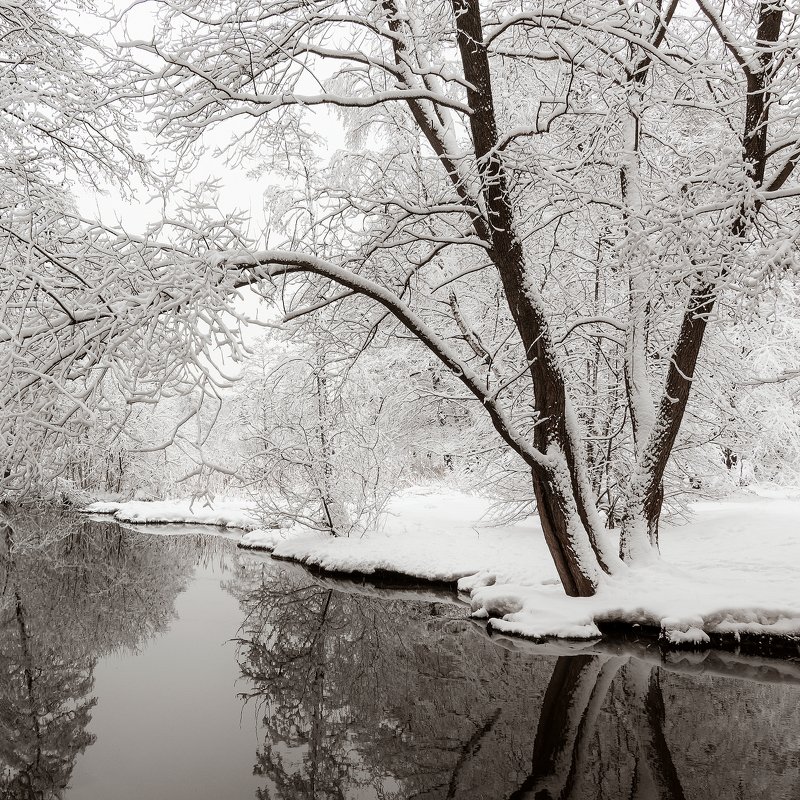 В тихом омутеphoto preview
