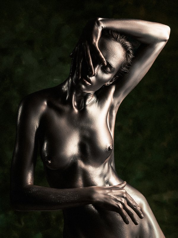 nude, fine art nude, body, figure, girl, beauty, naked Bronzephoto preview