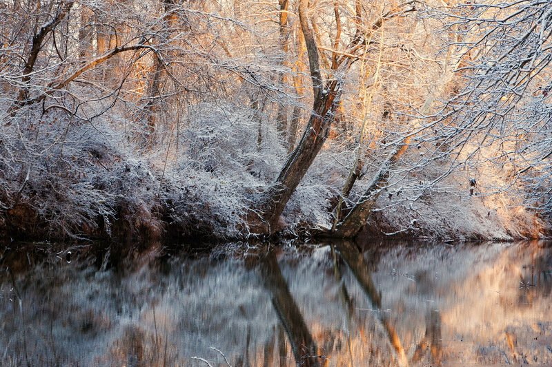 Морозным утромphoto preview