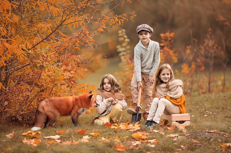 фотопрогулка, детская фотосессия, осень, дети, детская фотосессия, детский фотограф, фотосессия, радость, девочки, мальчики, счастье, детский и семейный фотограф, детское фото, дети на фото, детки, фотоистория, друзья, восторг В поисках клада...photo preview