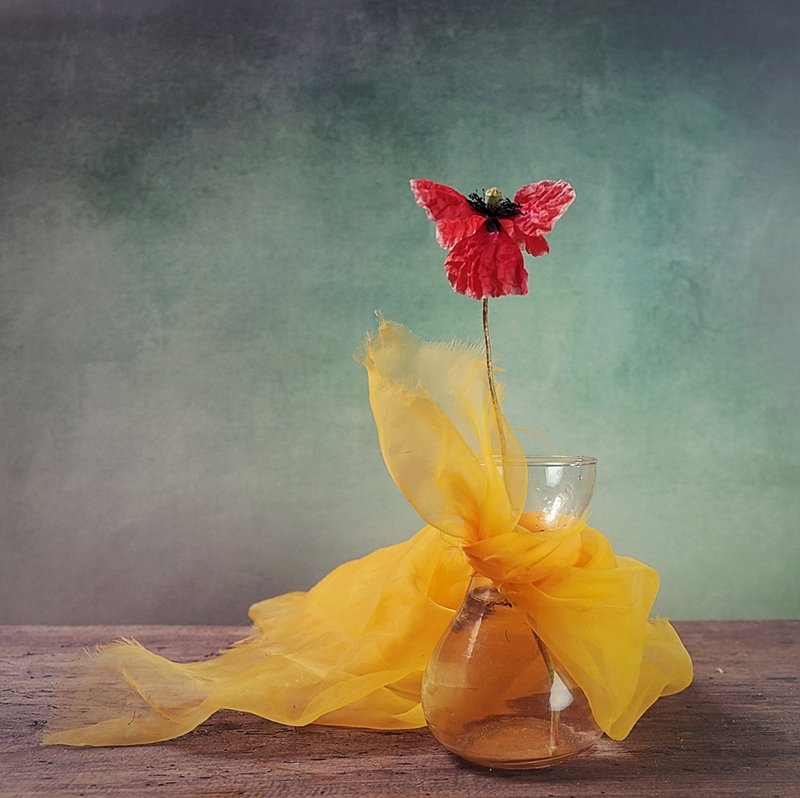 z makiemphoto preview