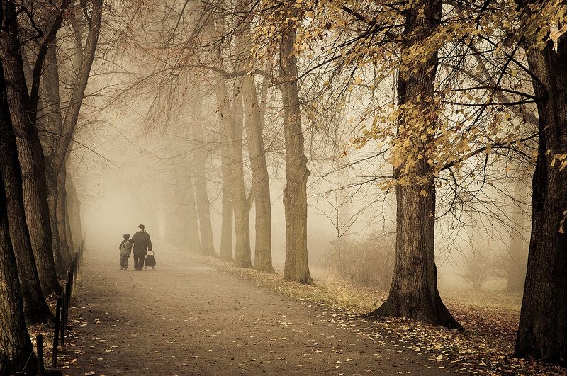 Oсеннийphoto preview