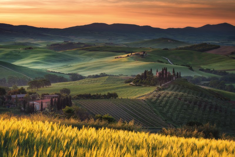 #tuscany #italy #landscapephotography #tuscanyworkshop #photographyworkshop #valdorcia Sunrise at green fields in Tuscanyphoto preview