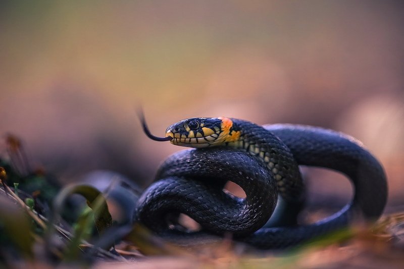 Изгибы фото превью