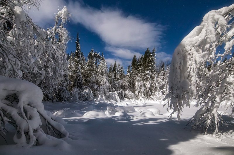 Лунная ночьphoto preview