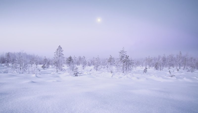 зима снег утро Морозphoto preview