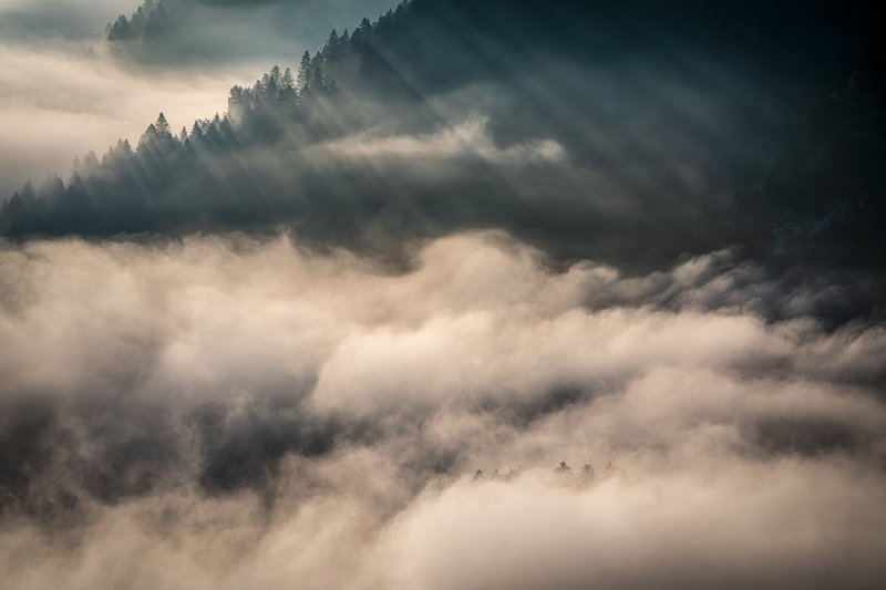 Sokolicaphoto preview