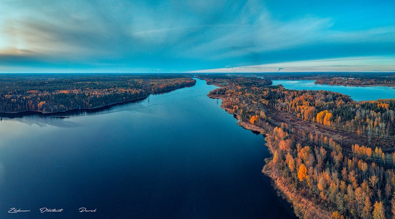 Синела осень золотая.photo preview