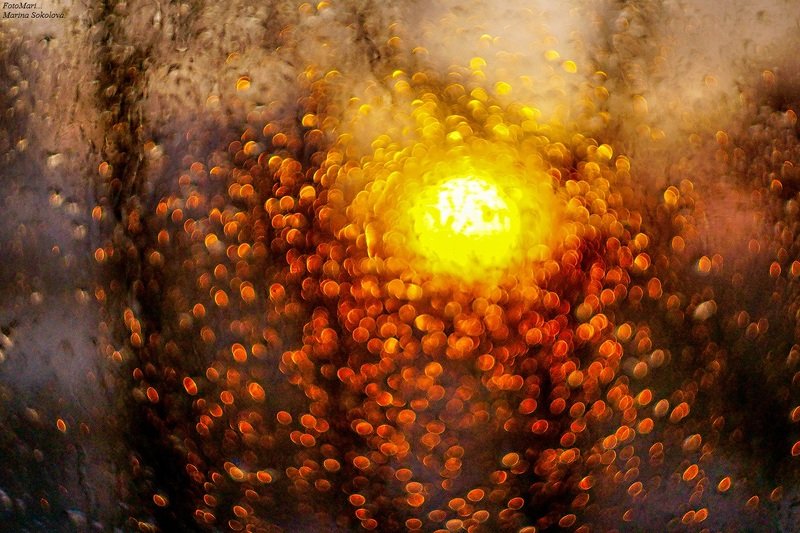 Про солнышко.photo preview