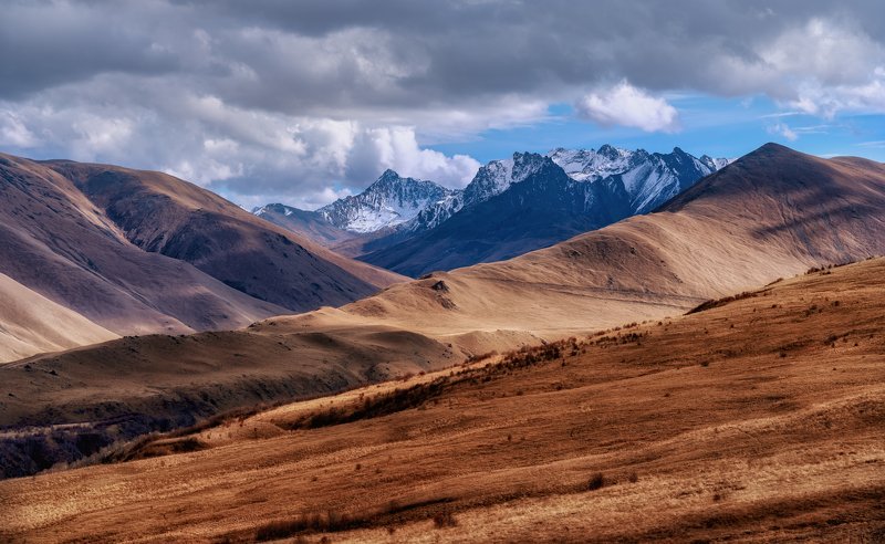 Пейзаж у обочиныphoto preview