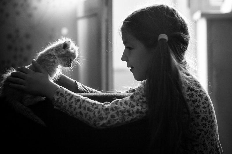 Девочка и котенокphoto preview